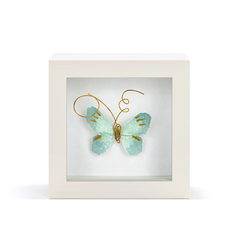 Butterfly Shadow Box 4in