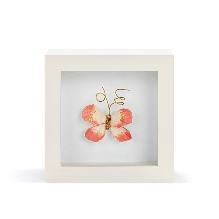 Butterfly Shadow Box 4in