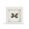 Butterfly Shadow Box 4in