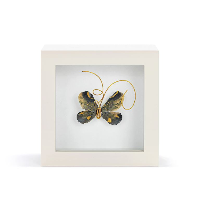 Butterfly Shadow Box 4in