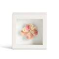 Flower Shadow Box
