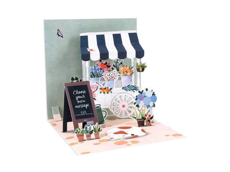 All Occasion Pop Up Card