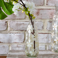 7.5" Dried Flower Bud Vase