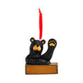 MIY Ornament