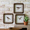 3 Ast Framed Bird Prints
