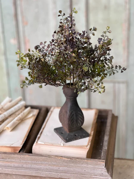 12" Wayward Shade Bush