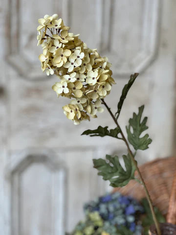 30" Coventry Hydrangea