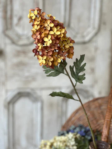 30" Coventry Hydrangea