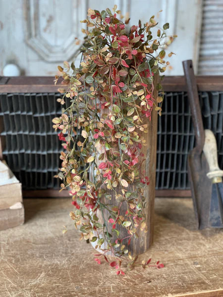 Bog Pimpernel Hanging Red 34"