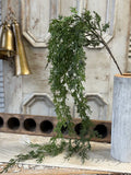 Greenfall Cedar Hanging 55"