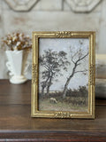 Pasture's Edge