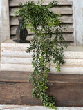 32.5" New England Boxwood Hanging