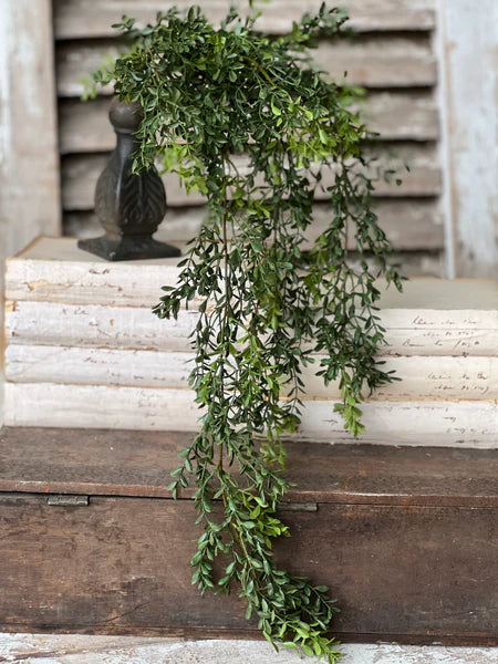 32.5" New England Boxwood Hanging