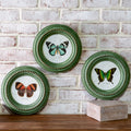 3 Ast Green Frame Butterfly