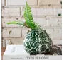4" Round Green Floral Squat Vase