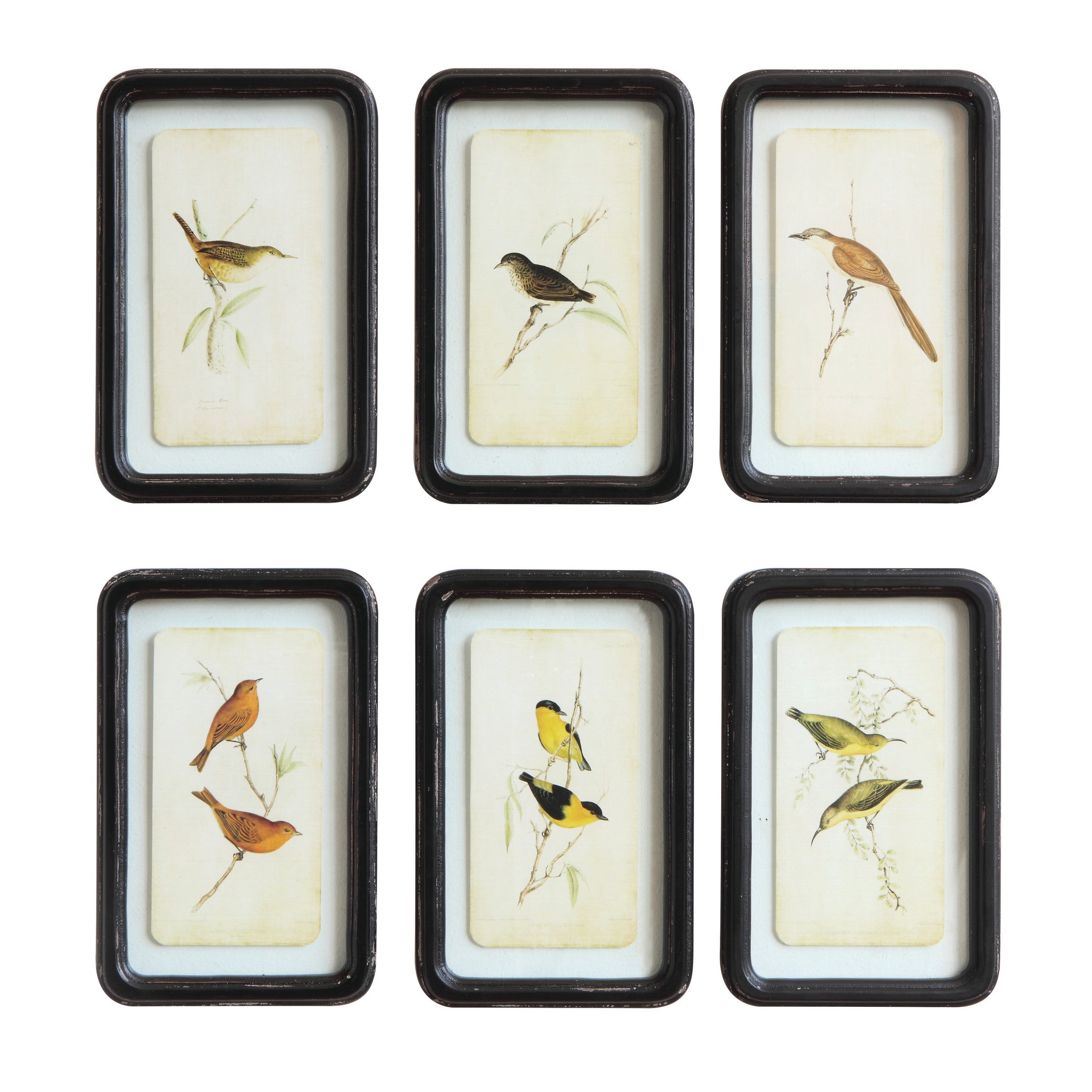 7"Lx11"H Wood Wall Decor w Floating Bird Black, 6 Styles