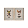 Wood Framed Wall Decor w Butterflies Stripes 2 Styles