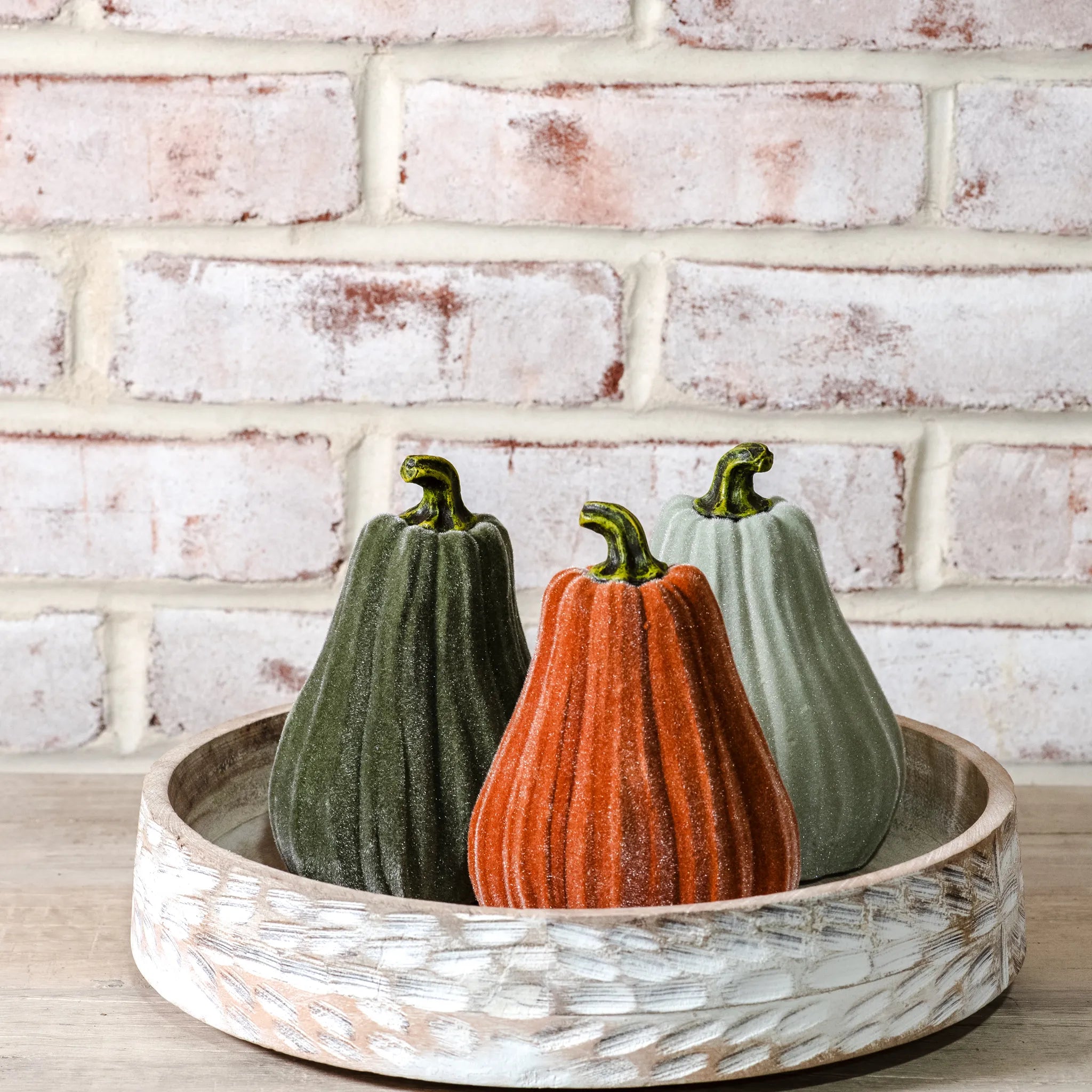 6" Velvet Gourds
